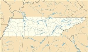&quot;Drug Recovery Programs in Louisiana